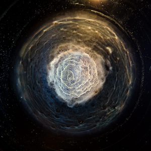 Whiskykonst - Macallan
